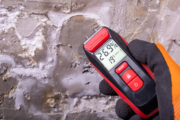 Best Water Damage Restoration  in Citrus Springs, FL