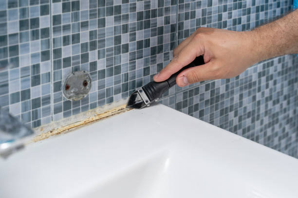 Best Fast Mold Removal  in Citrus Springs, FL
