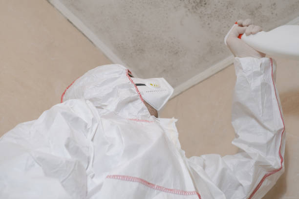 Best Crawl Space Mold Removal  in Citrus Springs, FL