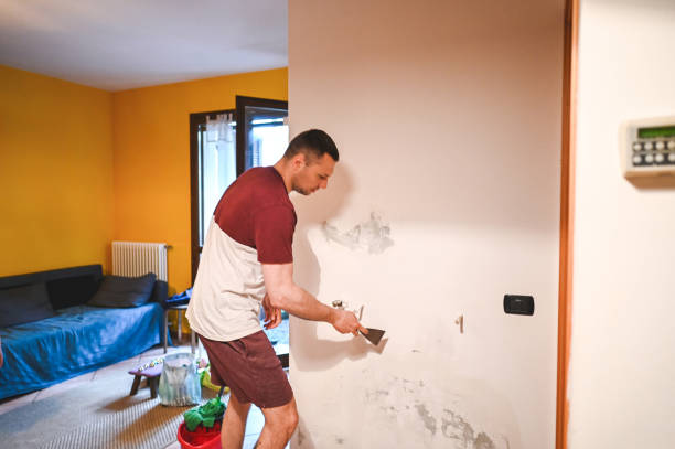 Best Mold Remediation  in Citrus Springs, FL